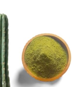 Buy San Pedro Powder